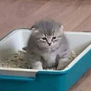 🙊