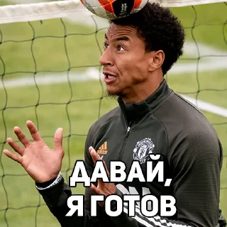 👌