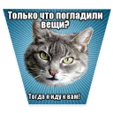 🐱