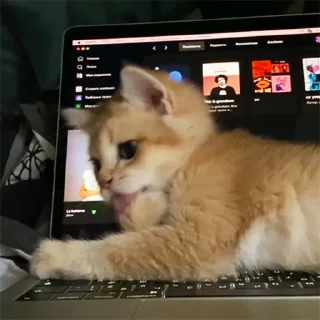 😛