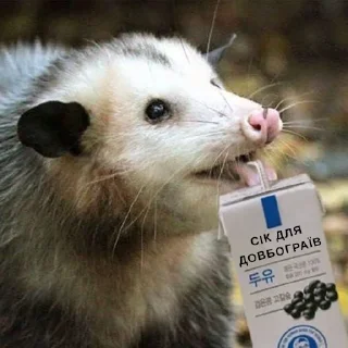 🤪