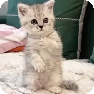 😳