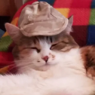 😗