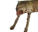 😡