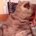 😵