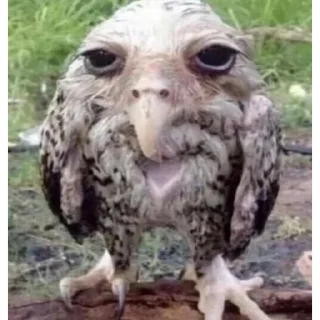 😔