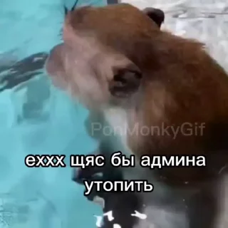 🤩