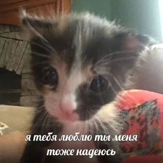 ❤️