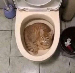 🍃