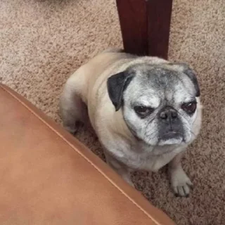 😠