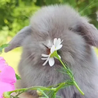🤩