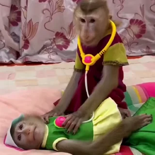 🧑‍⚕️