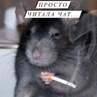 🚬