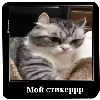 😠