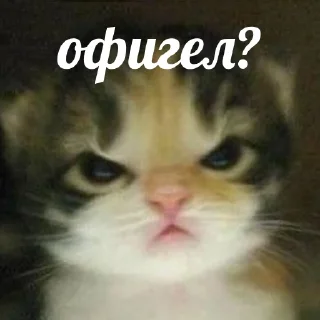 😡