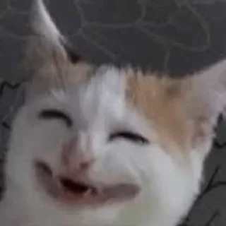 😭