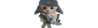 🐈