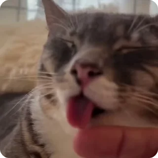 🧄