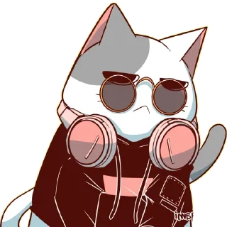 🐈
