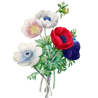 💐