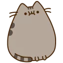 🐱