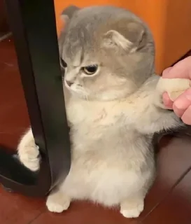 😒