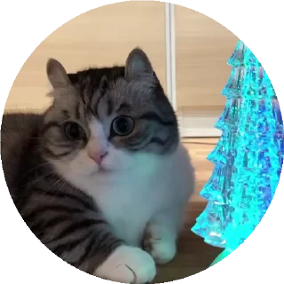 🌲