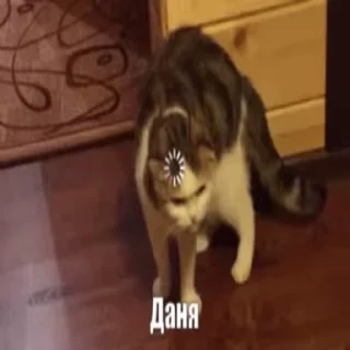 🧐