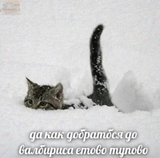 ❄️