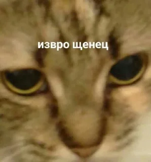 🤘