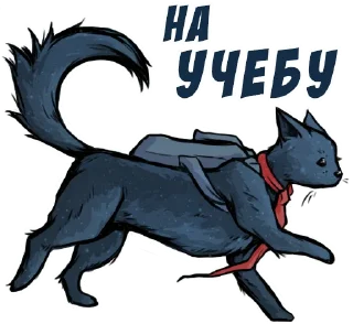 🐾