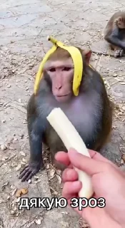 🙏