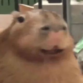 😃