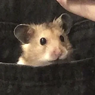 😳