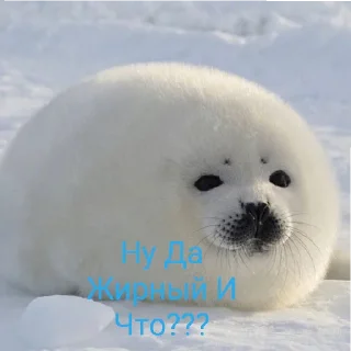 😄