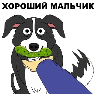 💪