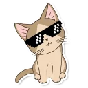 😎