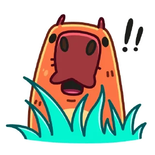 ⁉️