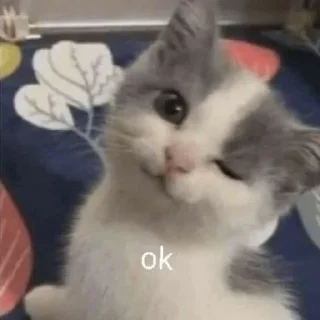 😉