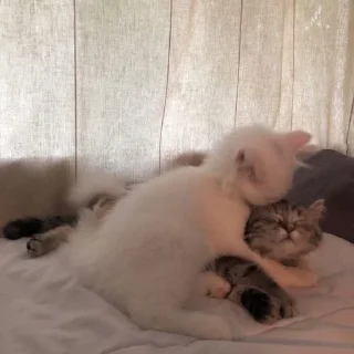 🥰