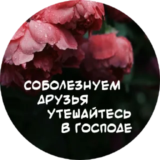 🌹