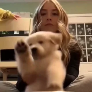 🐕‍🦺