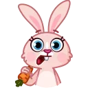 🐰