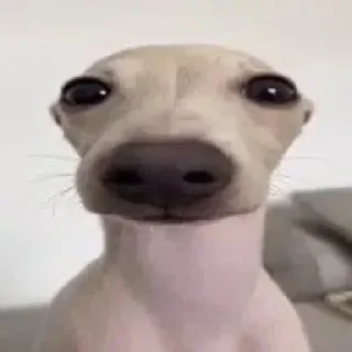 🤓