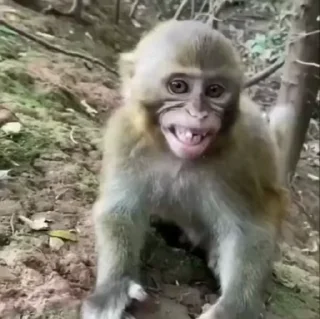 😂