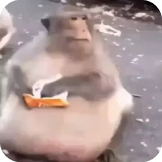 🍿