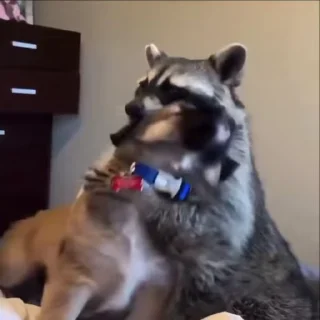 ❤️