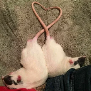 ❤️