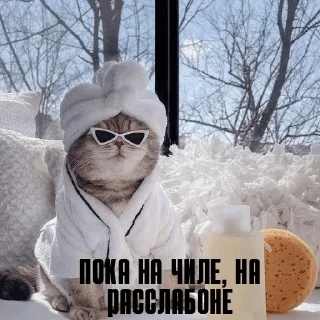 😎