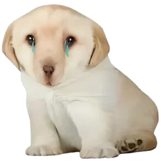 😓